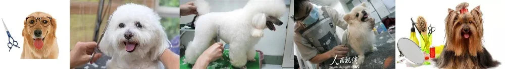 Pet Scissors
