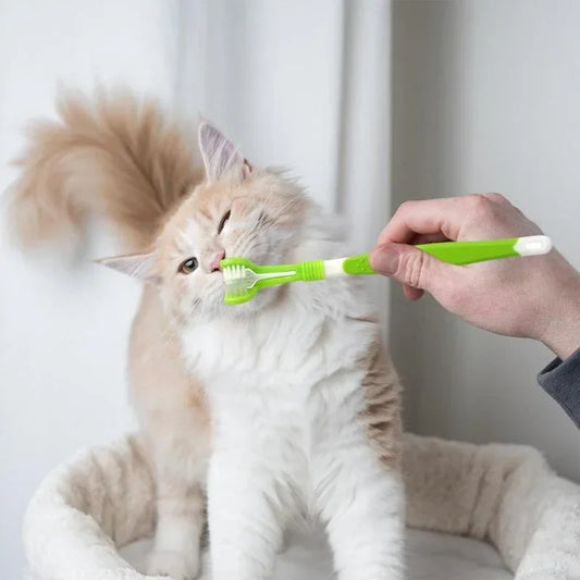 3-Sided Pet Toothbrush – Easy, Effective Dental Care for Dogs and Cats