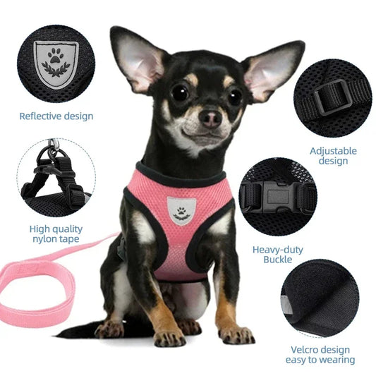 Adjustable Reflective Mesh Pet Harness Vest with Leash – Escape-Proof