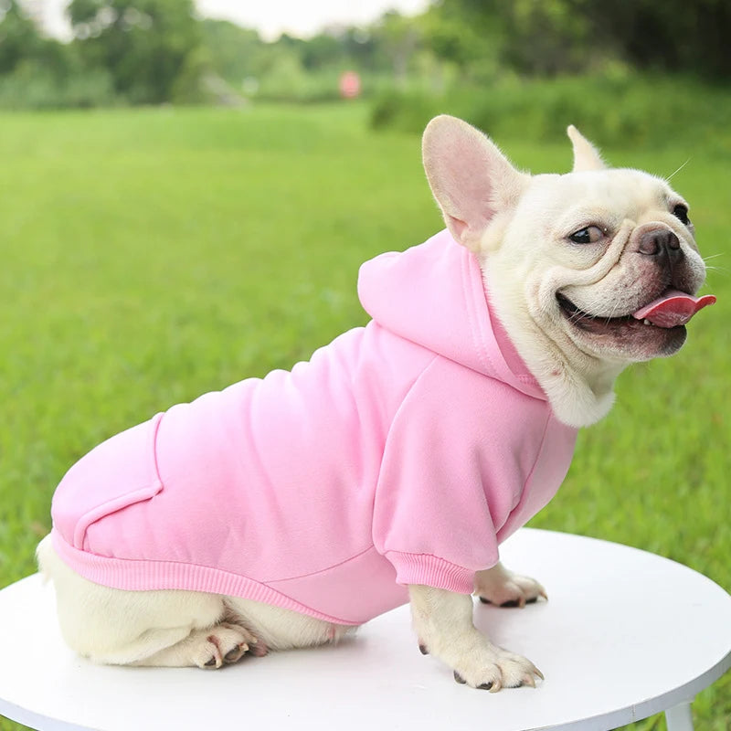 Autumn And Winter Hooded Sweater Pet Clothes