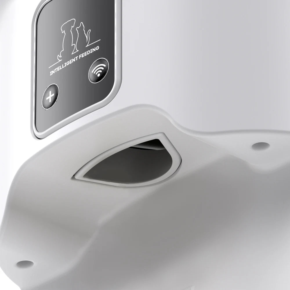 4L WIFI Button Automatic Pet Feeder