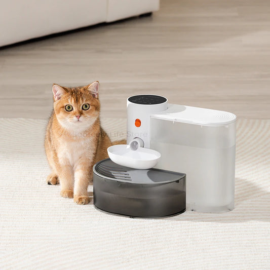 Pet Water Feeder