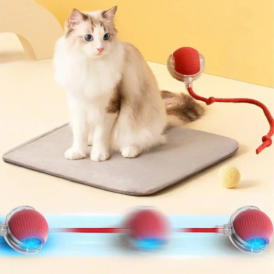 Interactive Electric Cat Toy Ball – USB Rechargeable for Cats