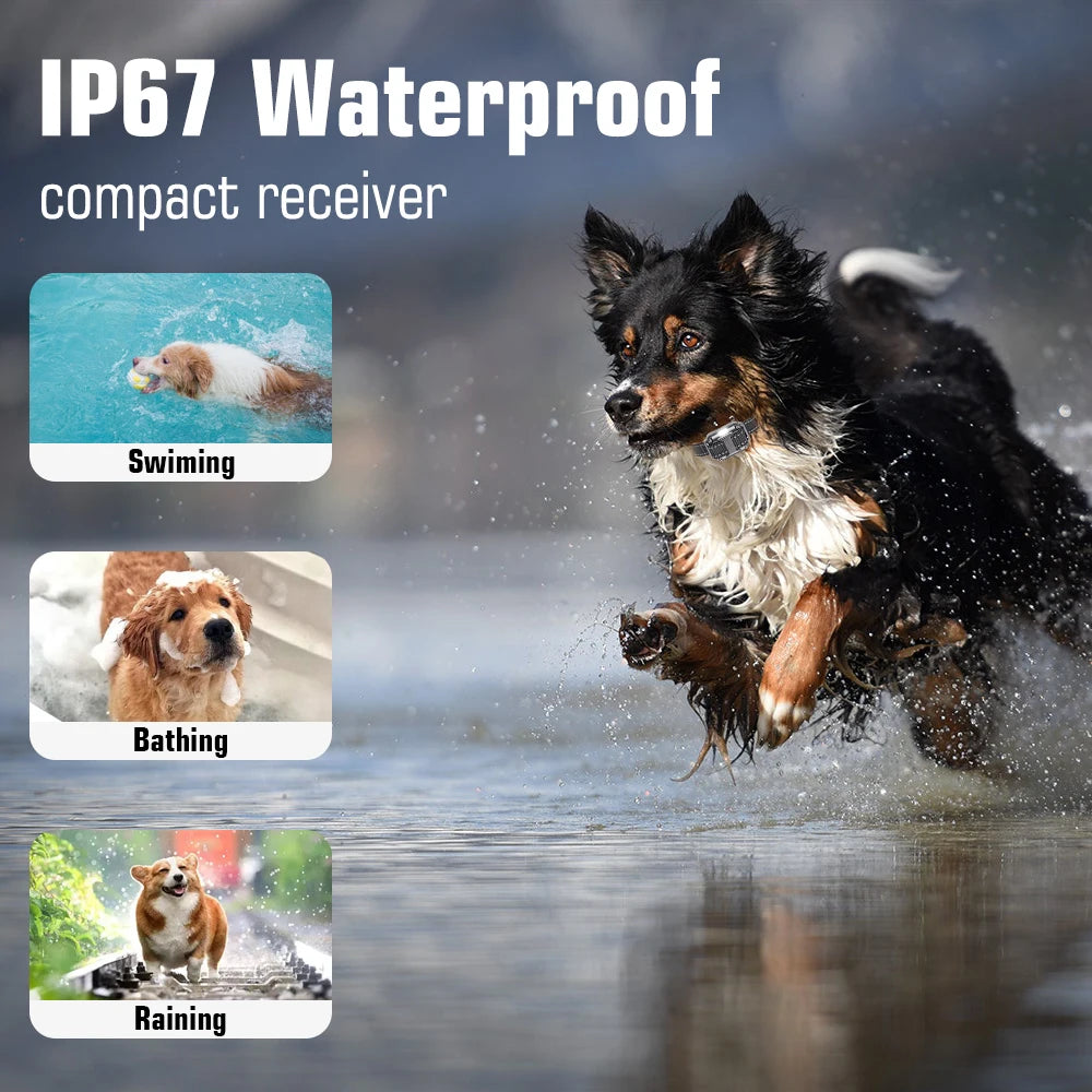 Dog Training Collar with Remote, IP67 Waterproof