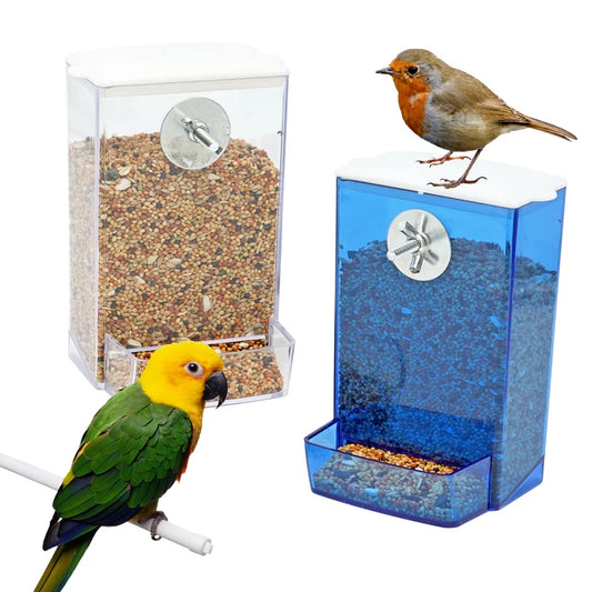Automatic bird feeders for parrots and robins – clear and blue hanging seed dispensers