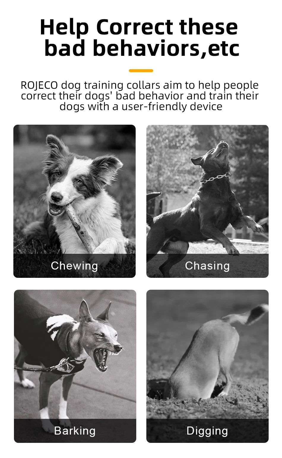 Electric Dog Training Collar