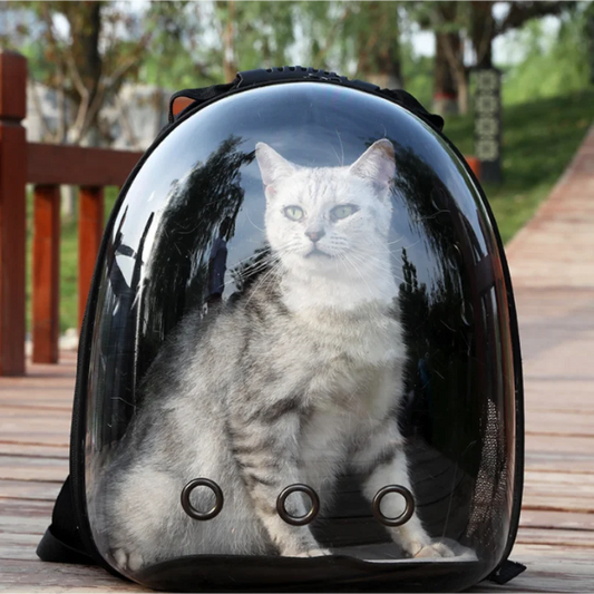 Portable Cat Backpack Carrier – Transparent Capsule Design