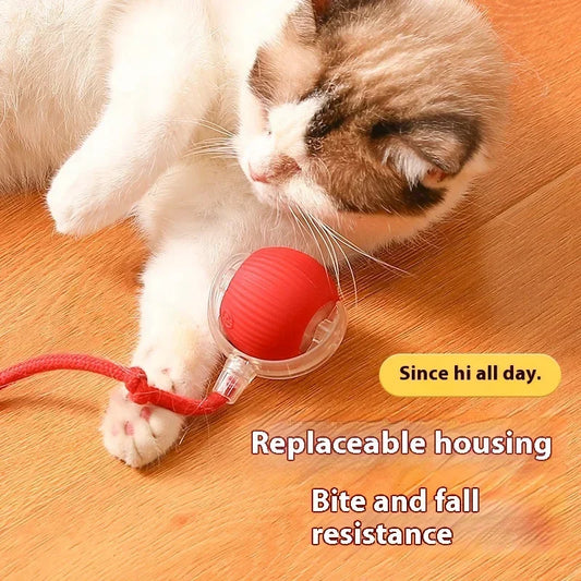 Interactive Electric Cat Toy Ball – USB Rechargeable for Cats