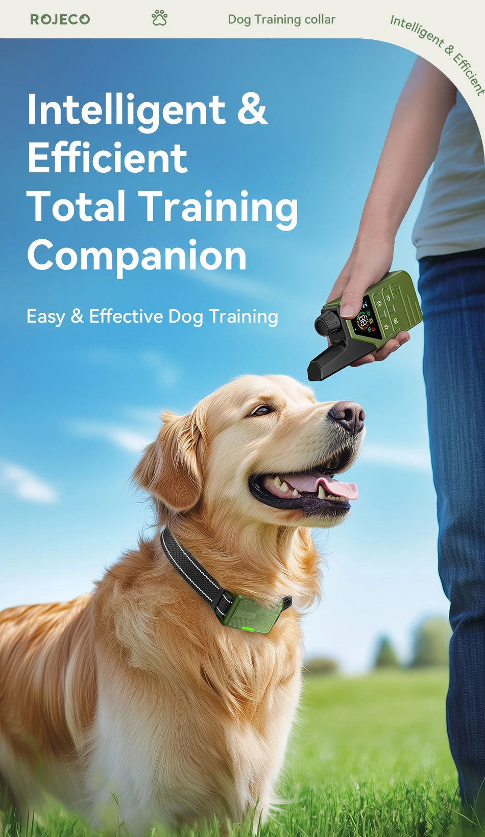 Electric Dog Training Bark Stop Collar With Remote Control