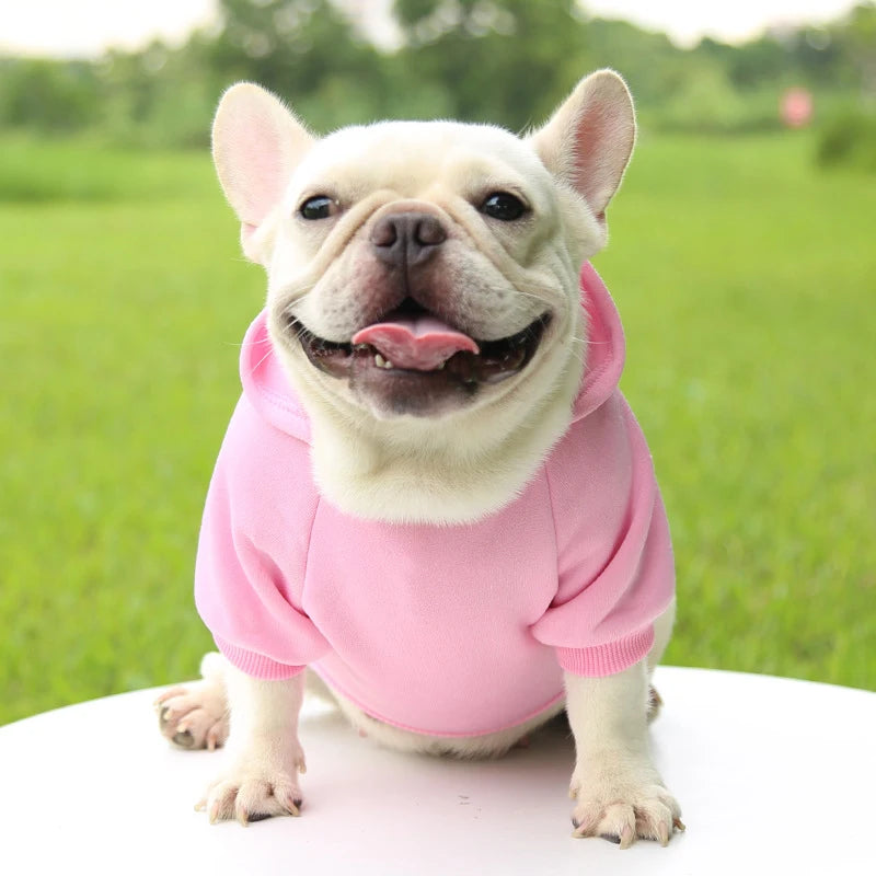 Autumn And Winter Hooded Sweater Pet Clothes