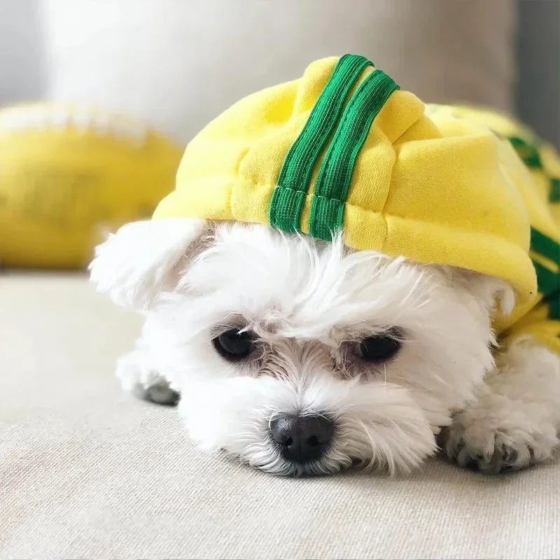 Pet Jumpsuit