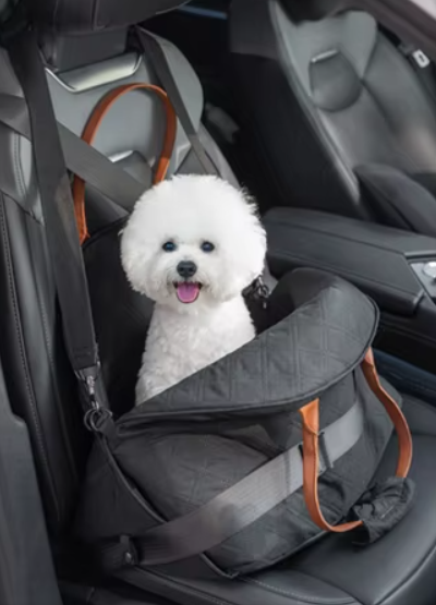 Cute dog sitting in car travel pet carrier – secured with seatbelt harness