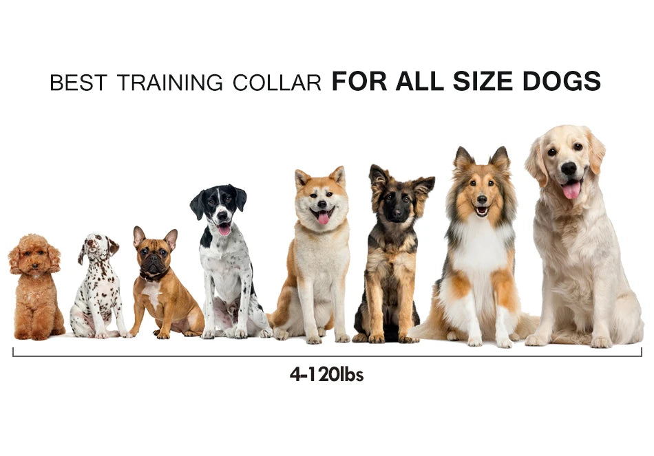 1000m Electric Dog Training Collar with Remote Control