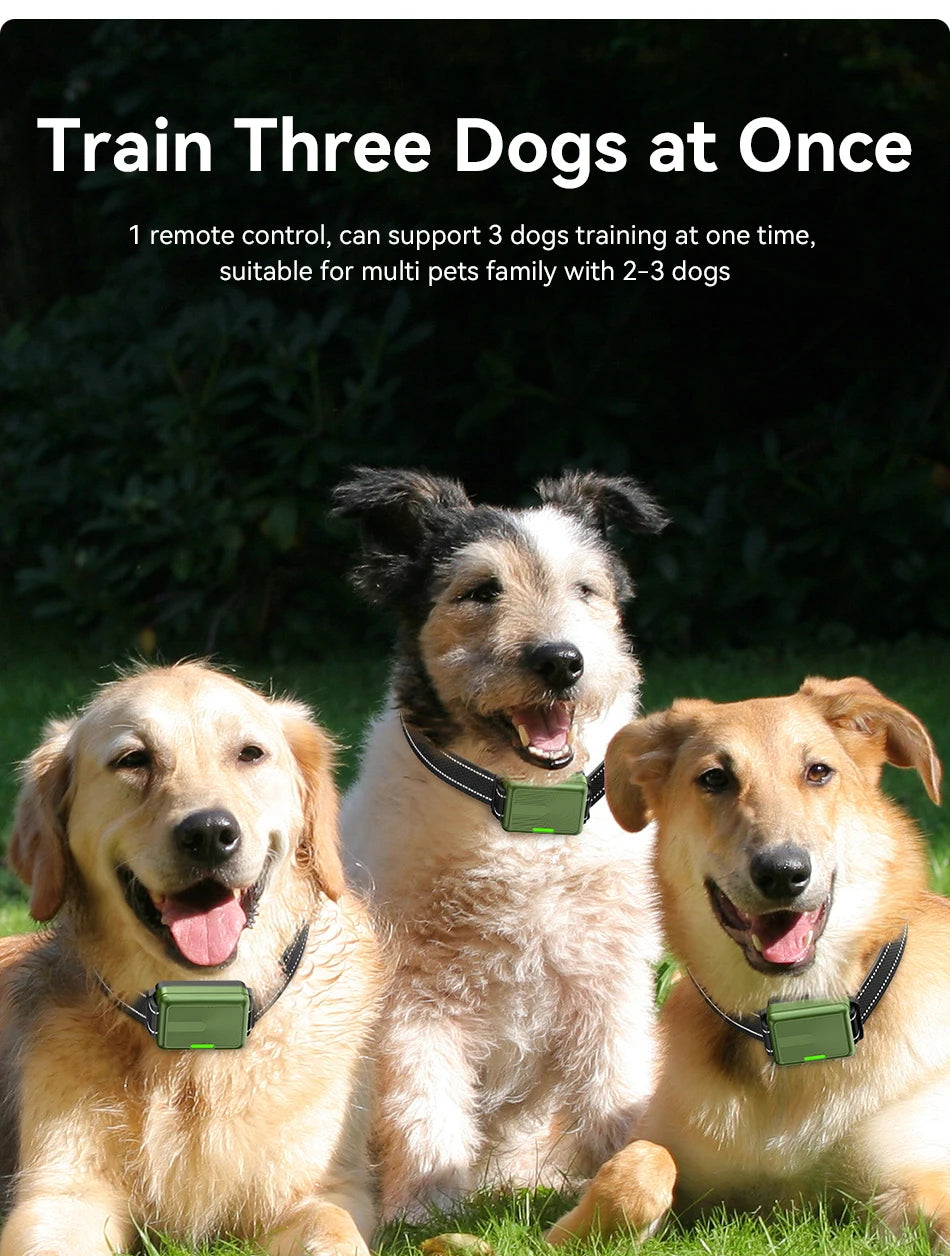 Electric Dog Training Bark Stop Collar With Remote Control