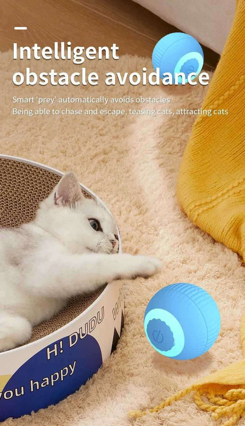 Rolling Ball Toys for Cats