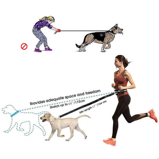 Reflective Pet Waist Bag with Hands-Free Leash – Night Walk Safety