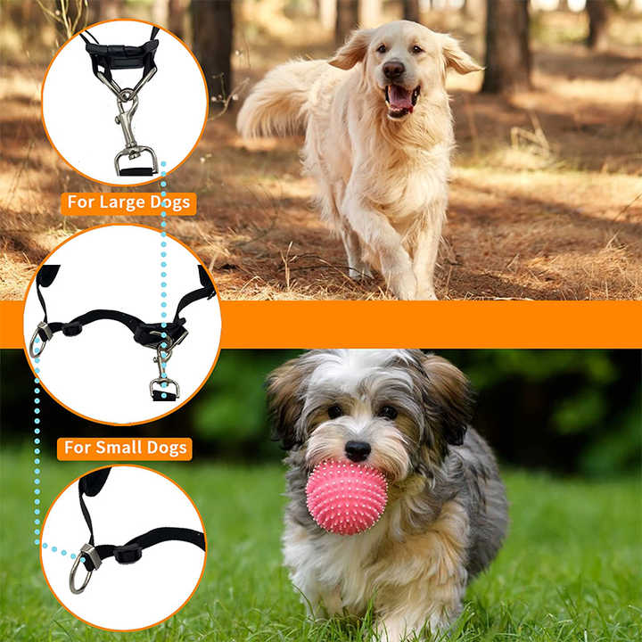 Reflective Pet Waist Bag with Hands-Free Leash – Night Walk Safety