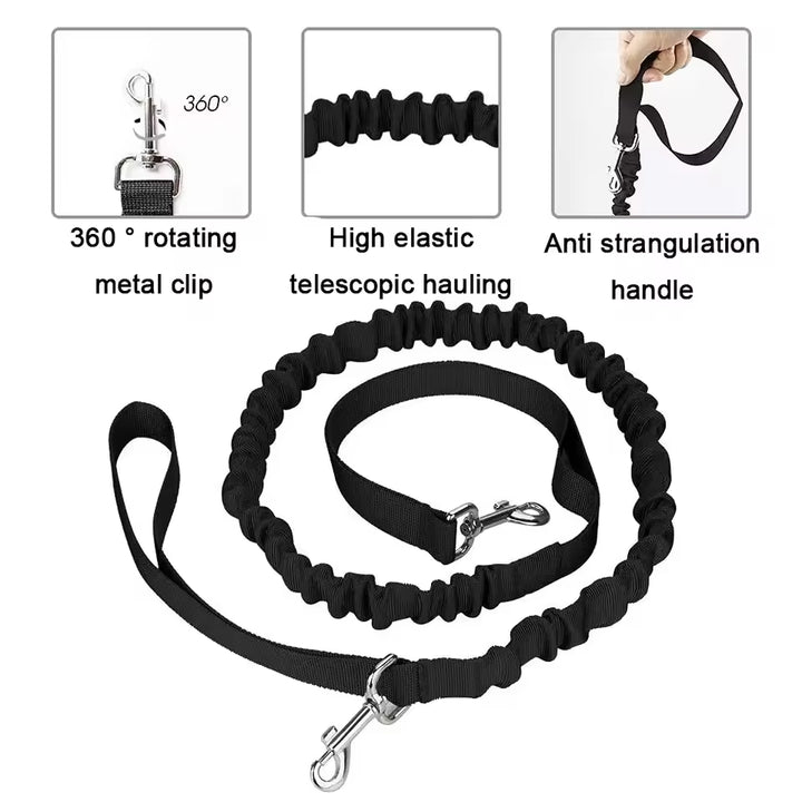 Reflective Pet Waist Bag with Hands-Free Leash – Night Walk Safety