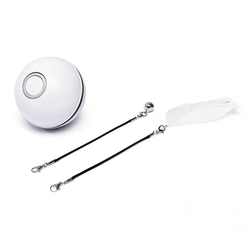Smart USB Rechargeable Pet Interactive Rolling Ball