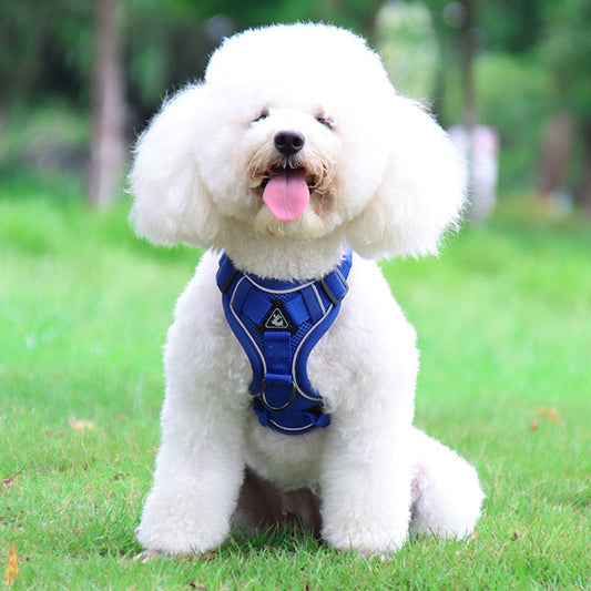 Adjustable Reflective Mesh Pet Harness and Leash Set