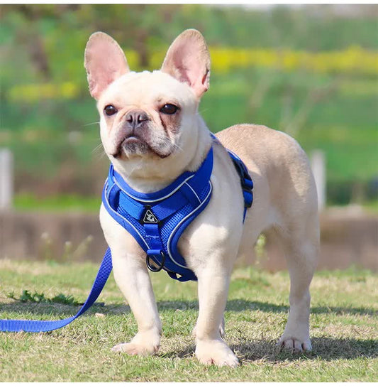 Adjustable Reflective Mesh Pet Harness and Leash Set