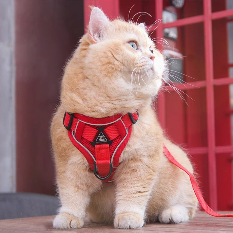 Reflective Mesh Dog Harness and Leash Set - Adjustable No-Pull Vest