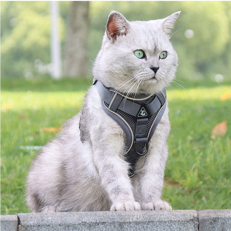 Reflective Mesh Dog Harness and Leash Set - Adjustable No-Pull Vest
