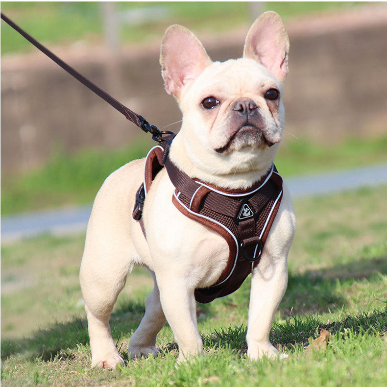 Reflective Mesh Dog Harness and Leash Set - Adjustable No-Pull Vest