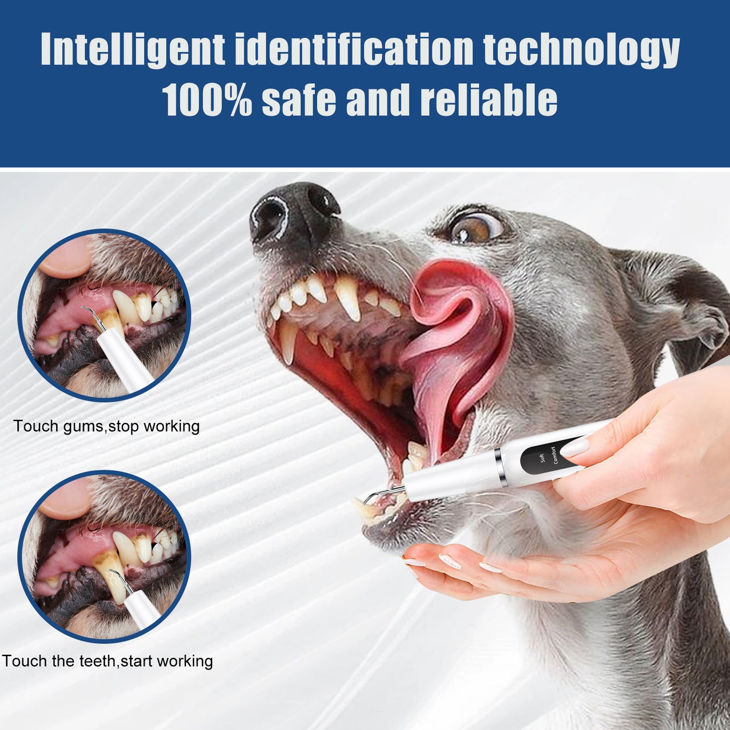 Professional Pet Dental Cleaning Kit - Ultrasonic Scaler, Tools & 3 Modes