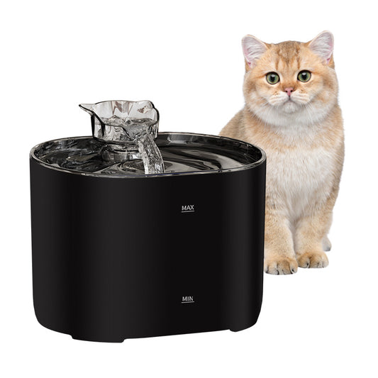 Introductory Pet Water Fountain – Filtered Flow for Cats and Dogs