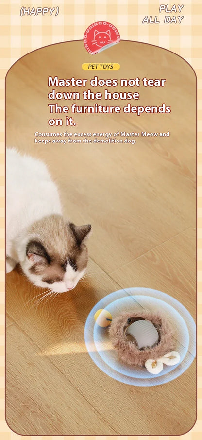 Rolling Ball Toys for Cats