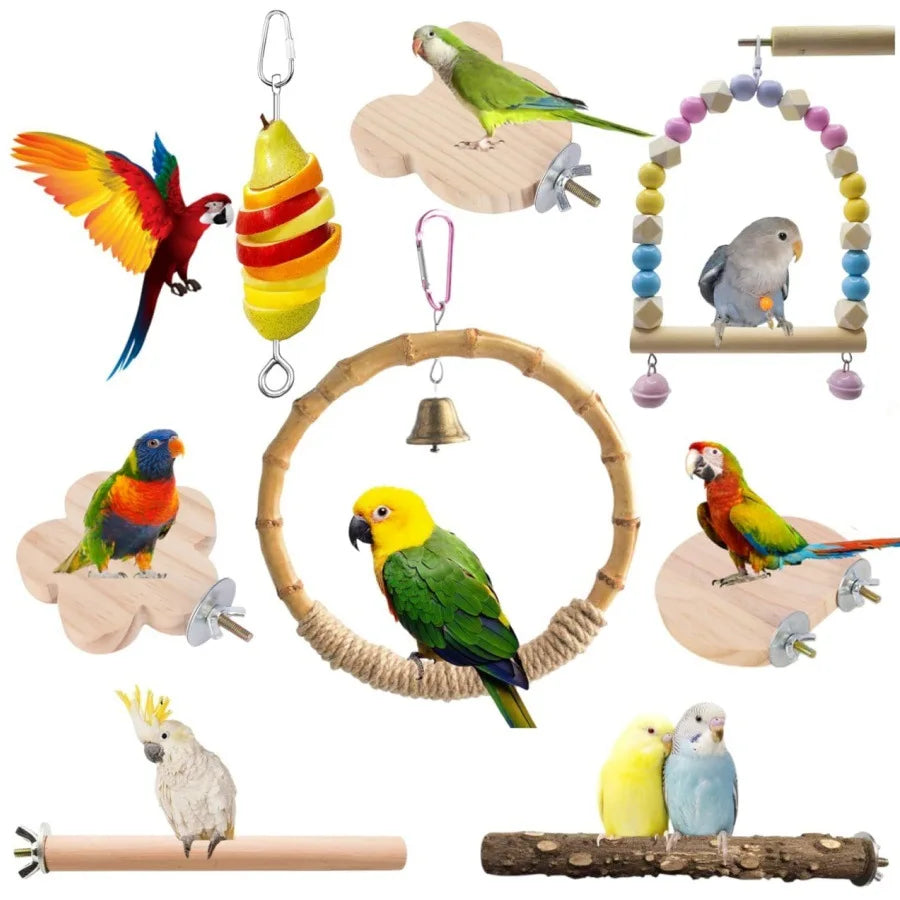 Bird Toy Set – Training Toys & Cage Accessories for Small Parrots