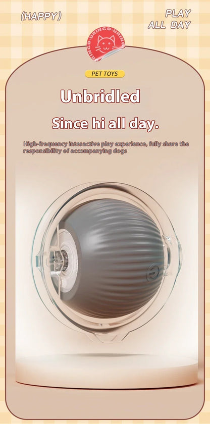 Rolling Ball Toys for Cats