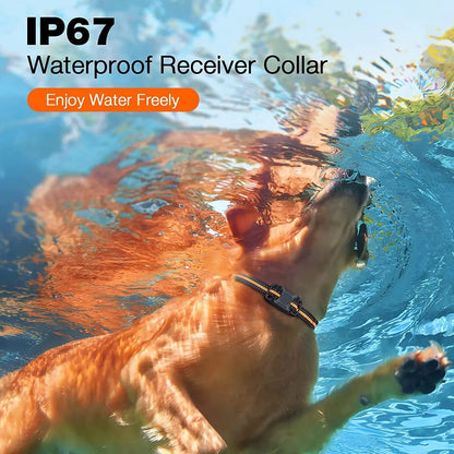 1000M Remote Pet Dog Training Collar IP67 Waterproof