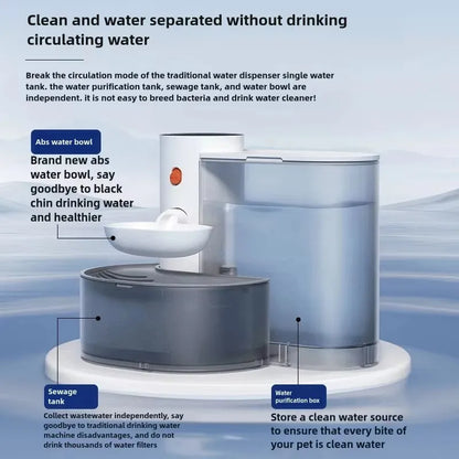 Automatic Water Feeder for Pet