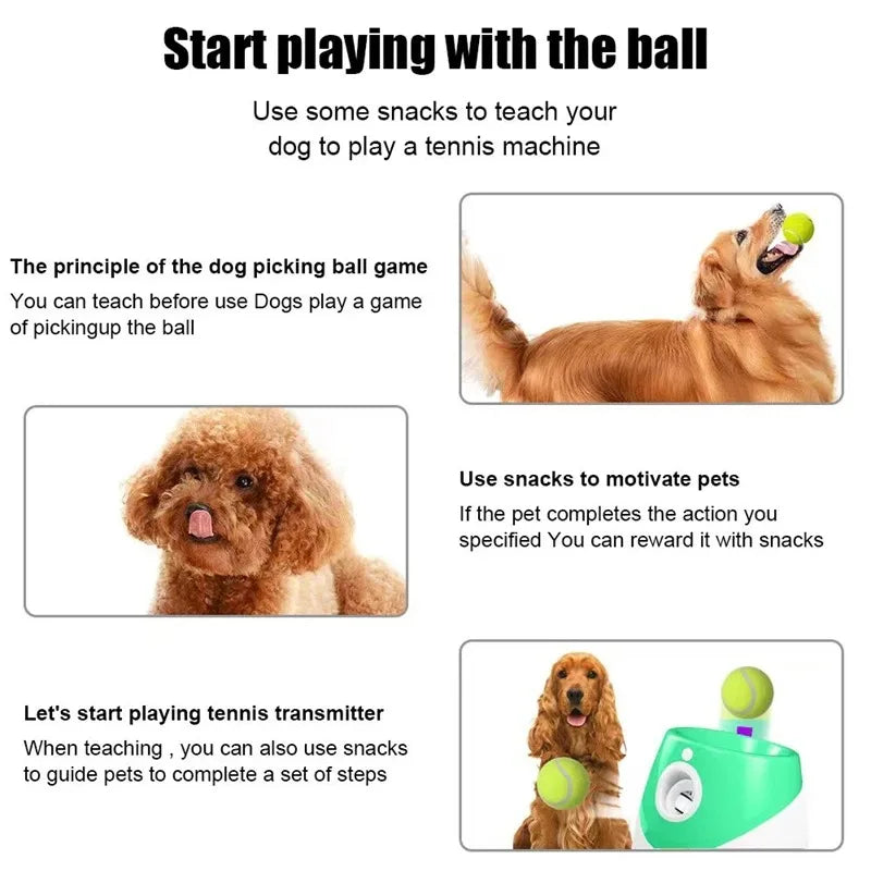 Automatic Dog Tennis Ball Launcher Rechargeable Catapult 6 Ball