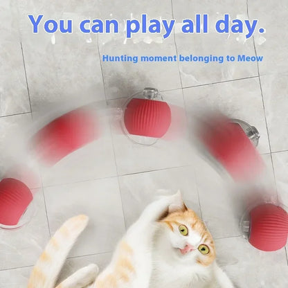 Rolling Ball Toys for Cats