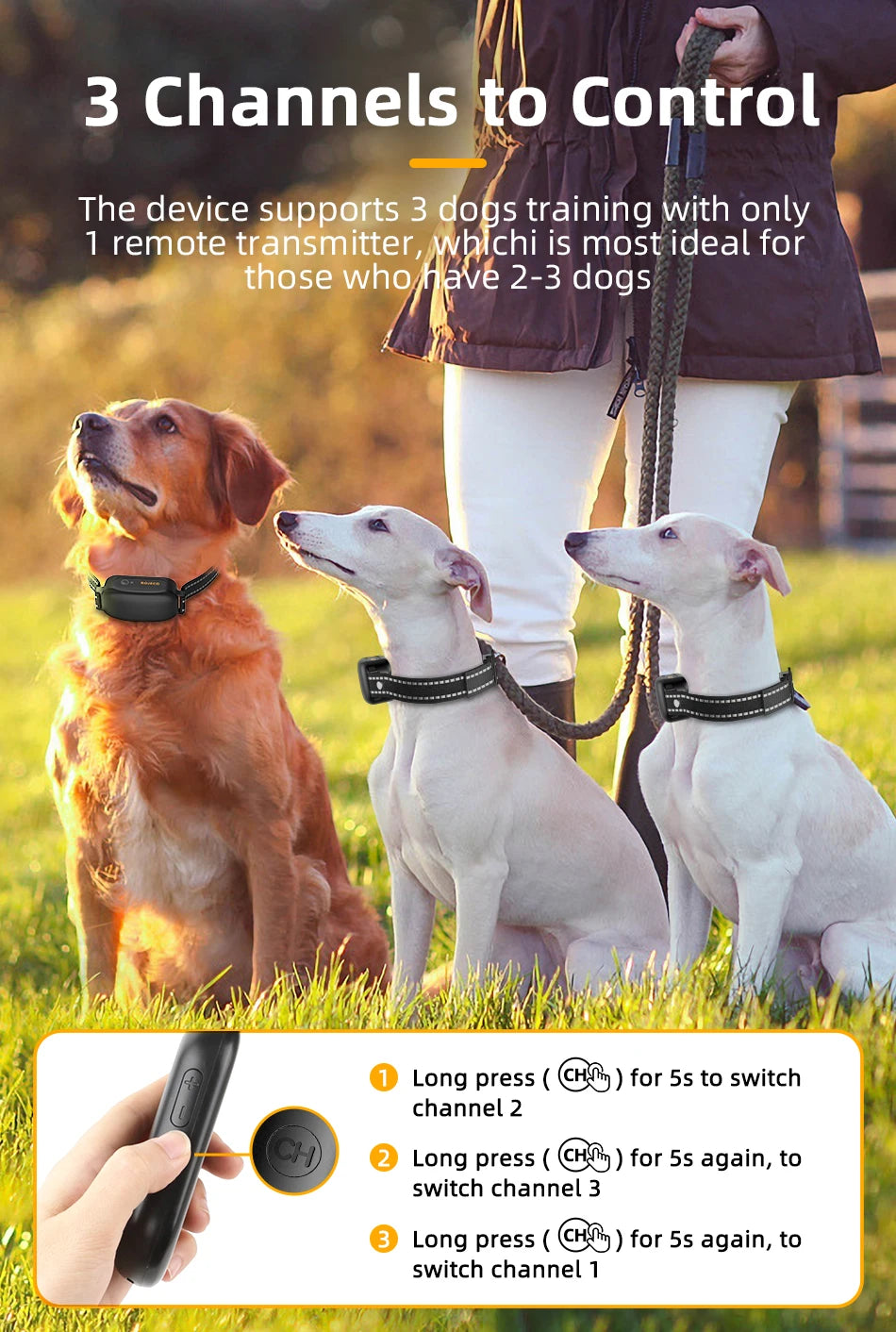Electric Dog Training Collar