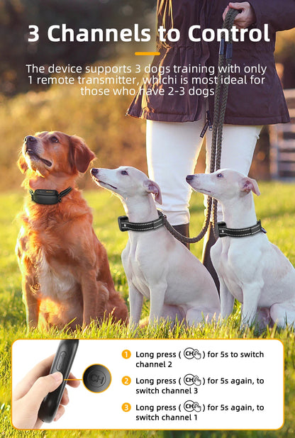 Electric Dog Training Collar
