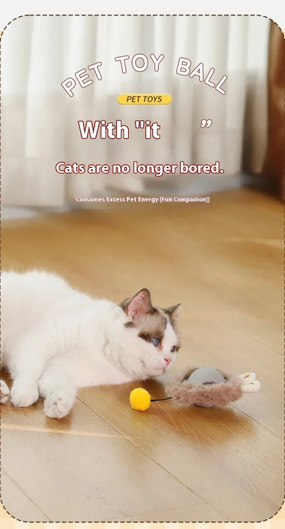 Rolling Ball Toys for Cats