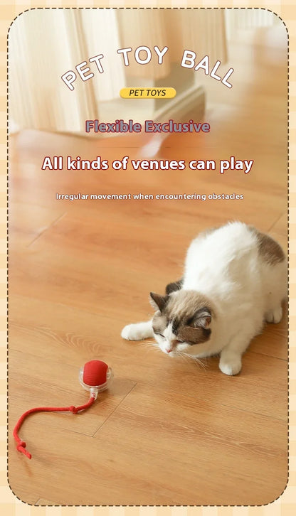 Rolling Ball Toys for Cats