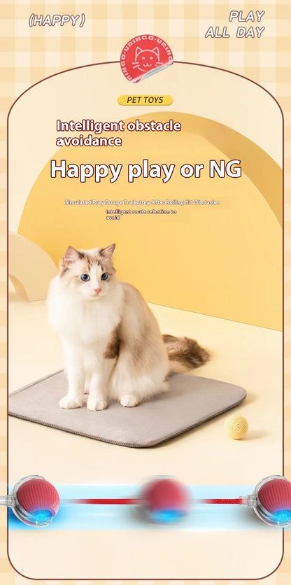 Rolling Ball Toys for Cats