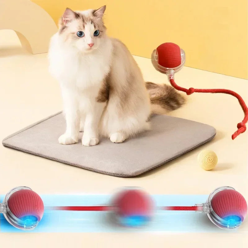 Rolling Ball Toys for Cats