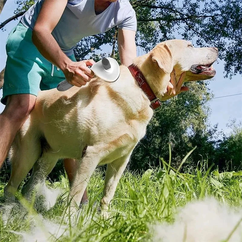 Pet Hair Brush