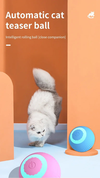 Rolling Ball Toys for Cats