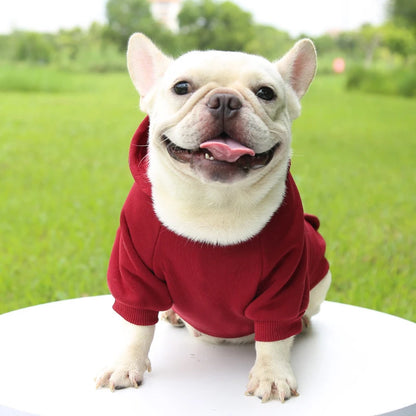 Autumn And Winter Hooded Sweater Pet Clothes