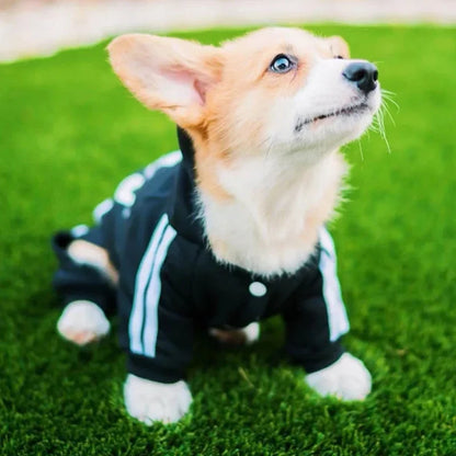 Pet Jumpsuit