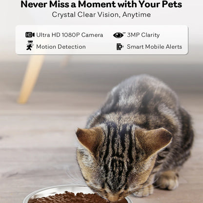 4L 5G Net Automatic Smart Pet Feeder With Camera Recorder Timing Video