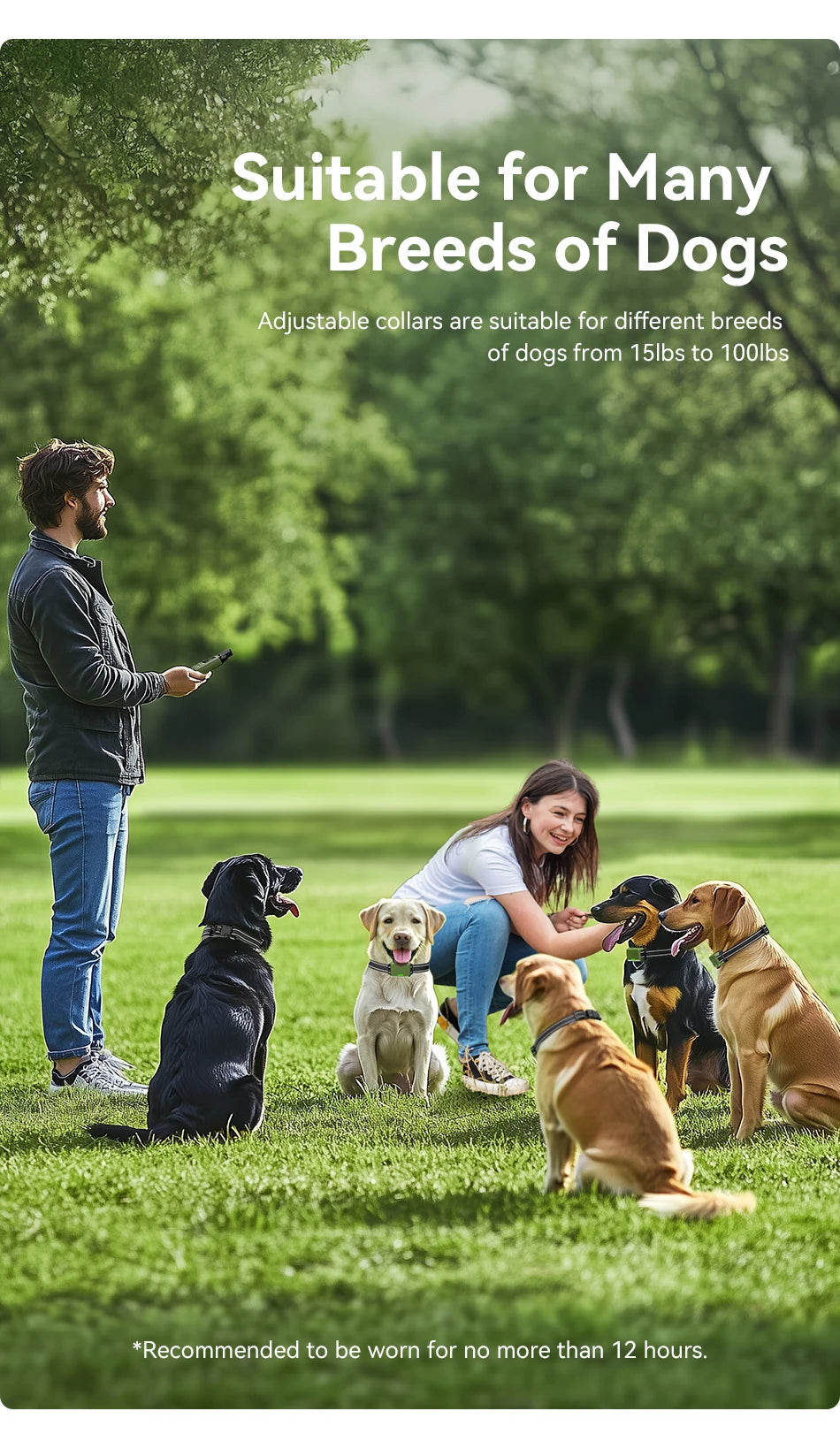 Electric Dog Training Bark Stop Collar With Remote Control