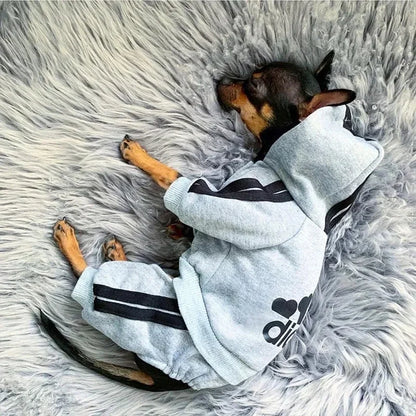 Pet Jumpsuit